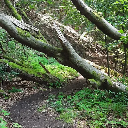 Nationalparkblick דירה