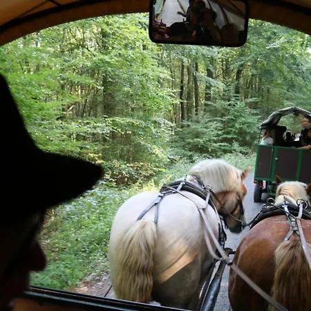 Nationalparkblick *